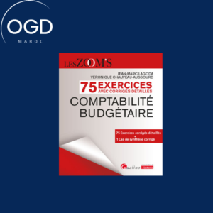 75 EXERCICES CORRIGES - COMPTABILITE BUDGETAIRE - 75 EXERCICES CORRIGES DETAILLES + 1 CAS DE SYNTHES