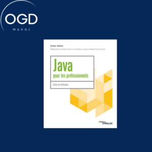 JAVA POUR LES PROFESSIONNELS - OUTILS ET METHODES