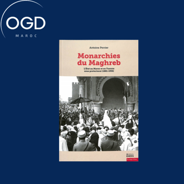 MONARCHIES DU MAGHREB - L ETAT AU MAROC ET EN TUNISIE SOUS P