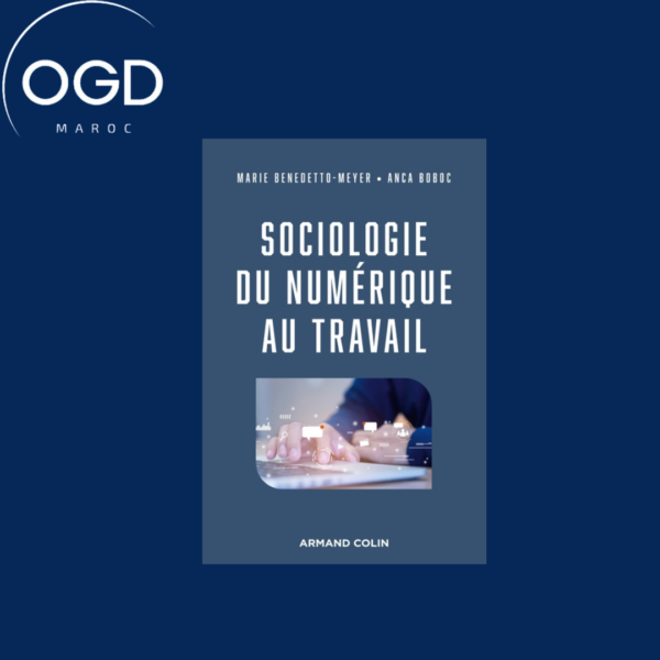 SOCIOLOGIE DU NUMERIQUE AU TRAVAIL