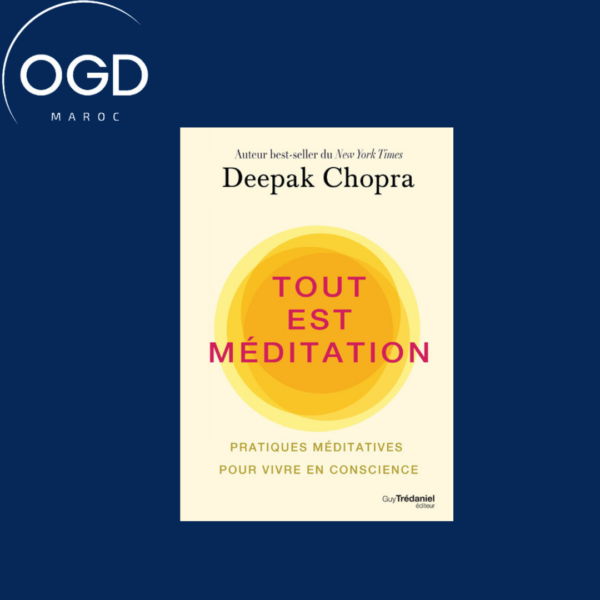 TOUT EST MEDITATION - PRATIQUES MEDITATIVES POUR VIVRE EN CONSCIENCE