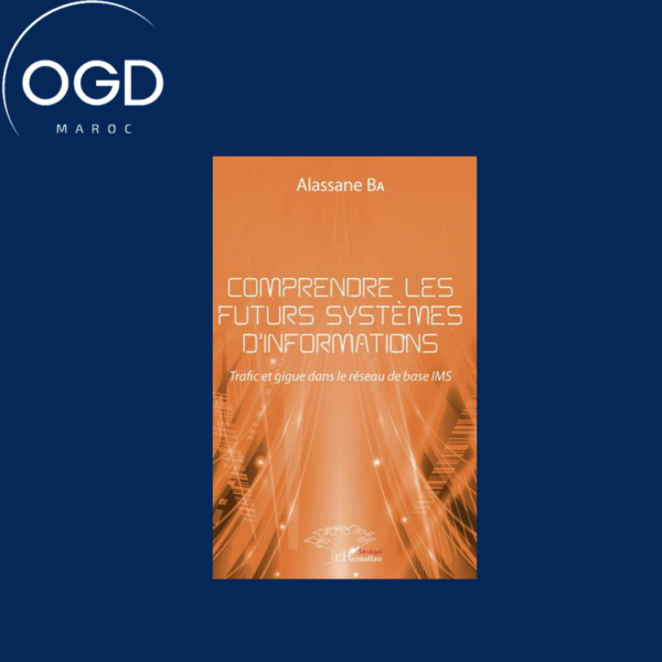 COMPRENDRE LES FUTURS SYSTEMES D'INFORMATIONS