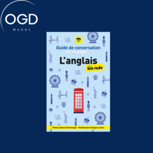 GUIDE DE CONVERSATION EN VOYAGE ! L'ANGLAIS POUR LES NULS, 6E ED