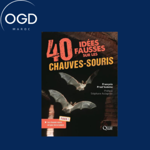 40 IDEES FAUSSES SUR LES CHAUVES-SOURIS