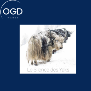 LE SILENCE DES YAKS