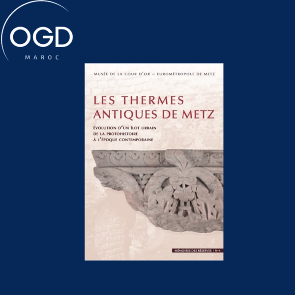 LES THERMES ANTIQUES DE METZ - EVOLUTION D'UN ILOT URBAIN DE LA PROTOHISTOIRE A L'EPOQUE CONTEMPORAI