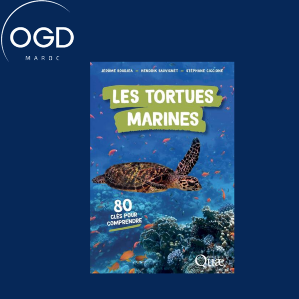 LES TORTUES MARINES - 80 CLES POUR COMPRENDRE