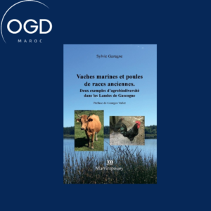 VACHES MARINES ET POULES DE RACES ANCIENNES - DEUX EXEMPLES D'AGROBIODIVERSITE DANS LES LANDES DE GA