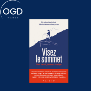 VISEZ LE SOMMET - POUR REUSSIR, DEVENEZ STRATEGE