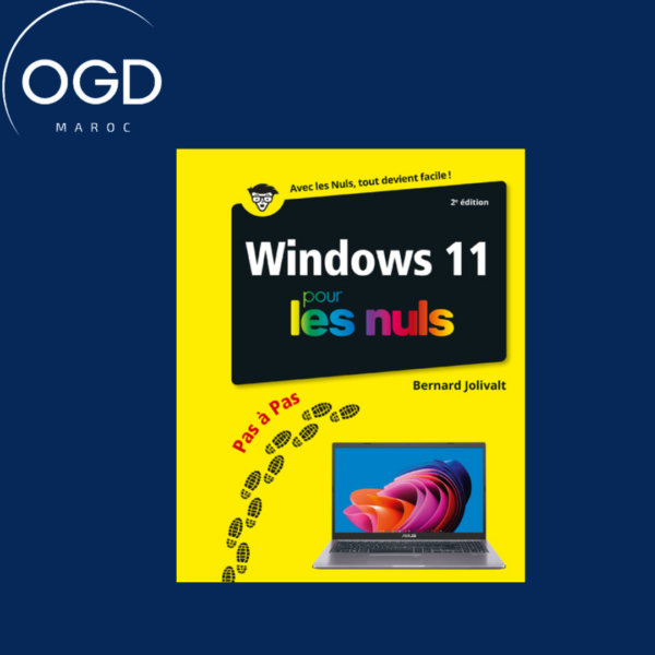 WINDOWS 11 PAS A PAS POUR LES NULS 2E EDITION