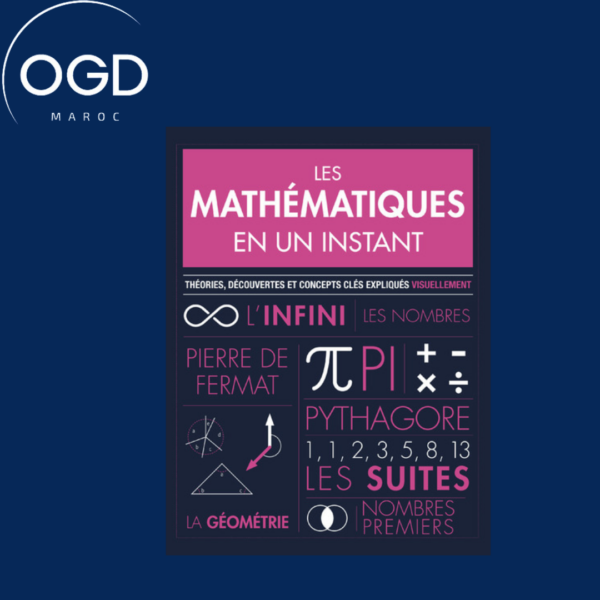 LES MATHEMATIQUES EN UN INSTANT - THEORIES, DECOUVERTES ET CONCEPTS CLES EXPLIQUES VISUELLEMENT